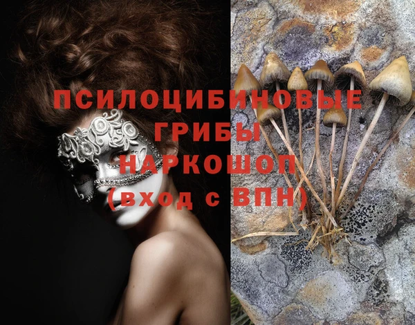 apvp Абинск