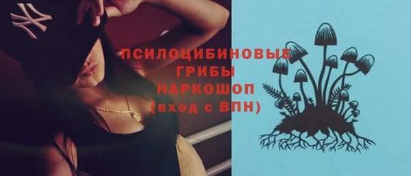 apvp Абинск