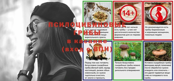 трава Алексин