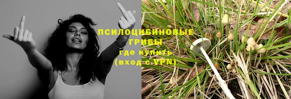 apvp Абинск