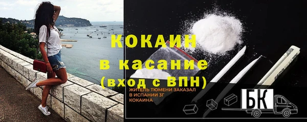 соль ск Алексеевка