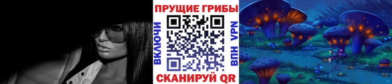 Галлюциногенные грибы Magic Shrooms  магазин  наркотиков  Чегем 